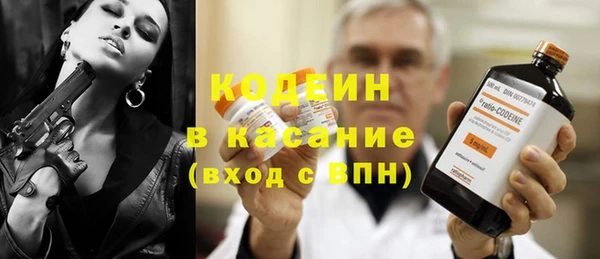 амф Верхний Тагил