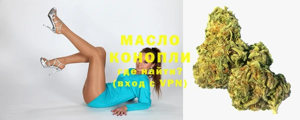 амф Верхний Тагил