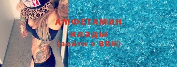 амф Верхний Тагил