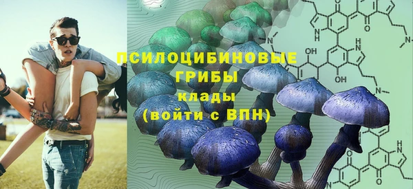ГАЛЛЮЦИНОГЕННЫЕ ГРИБЫ Верхнеуральск