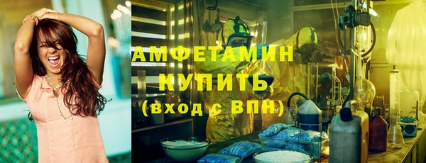 амф Верхний Тагил