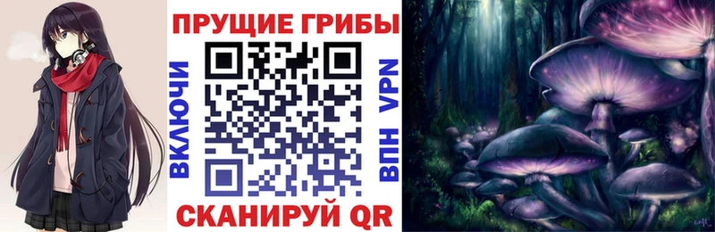 Купить  Дивногорск  Галлюциногенные грибы мухоморы 